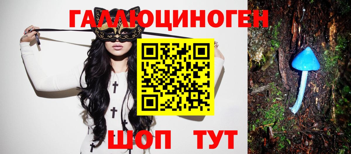 Псилоцибиновые грибы Cubensis Волжский