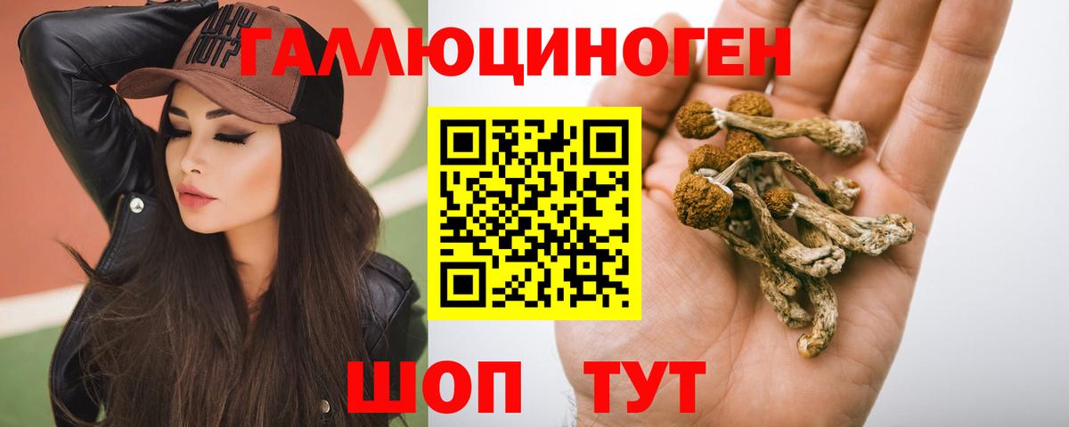 Волжский  магазин    Вход с VPN  Галлюциногенные грибы GOLDEN TEACHER 